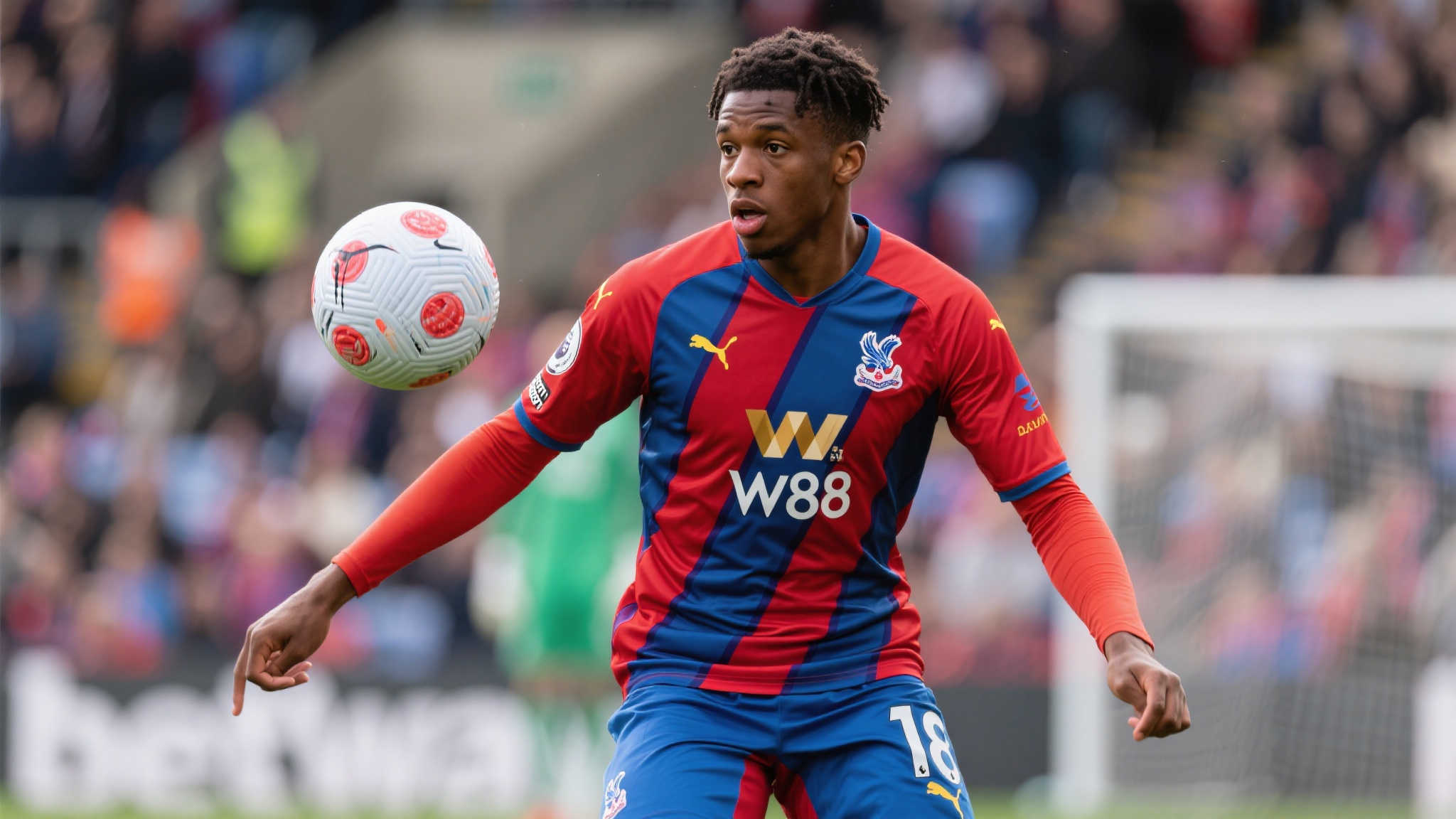 MK体育平台介绍