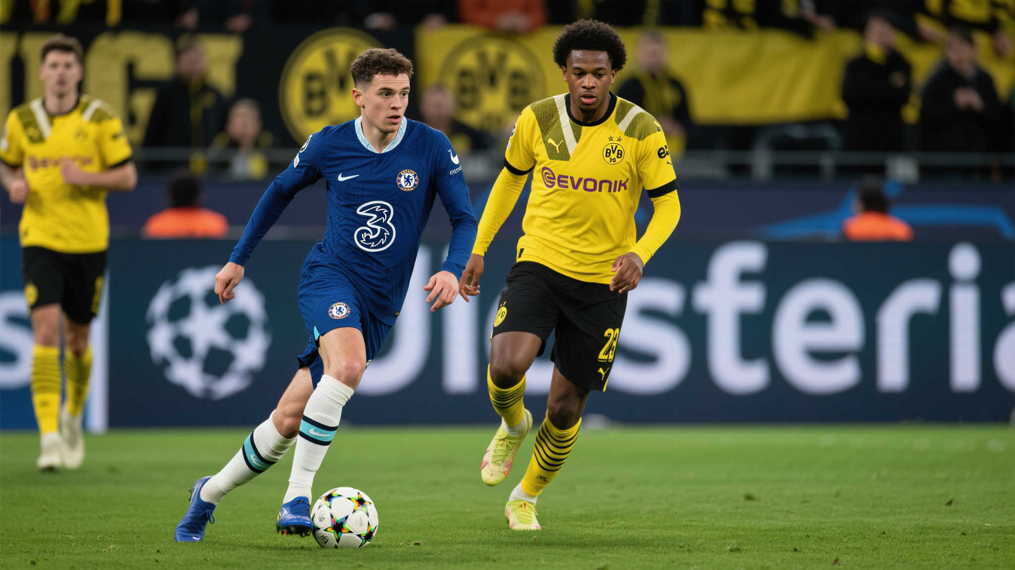 MK体育平台概况简介